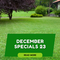 GREAT AUSSIE LAWNS - DECEMBER SPECIALS 2023