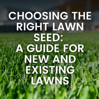 Choosing the Right Lawn Seed: A Guide for New and Existing Lawns