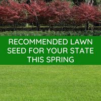 RECOMMENDED LAWN SEED FOR SPRING SOWING IN YOUR STATE