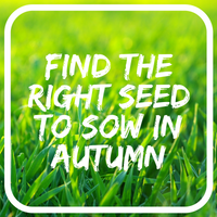 What seed to sow in your area in AUTUMN