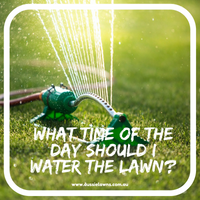What time of the day should I water my lawn?
