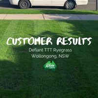 CUSTOMER LAWN - Defiant TTT Ryegrass, Wollongong NSW