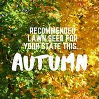 AUTUMN SOWING - Best Lawn Seed to Sow in Your State 2020