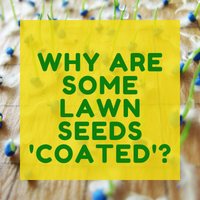 Why Are Some Lawn Seeds Coated?