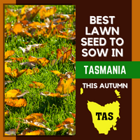 AUTUMN 2021: BEST LAWN SEED FOR TASMANIA