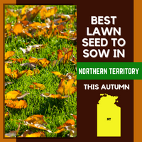 AUTUMN 2021: BEST LAWN SEED FOR NORTHERN TERRITORY