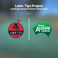 'Lawn Tips' Premium Blend Lawn - See how Ben does it!