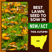 AUTUMN 2021: BEST LAWN SEED FOR NSW/ACT