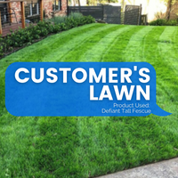 Customer's Lawn: Before and After with Defiant XRE Tall Fescue, Victoria