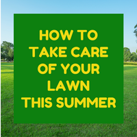 SUMMER LAWN TIPS 2021