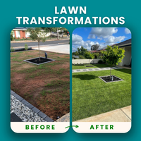 Must See Lawn Transformations: Before & After Projects