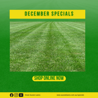 DECEMBER SPECIALS 2021