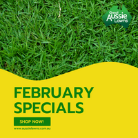 FEBRUARY 2022 SPECIALS