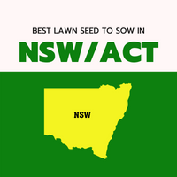 AUTUMN 2022: BEST LAWN SEED FOR NSW/ACT