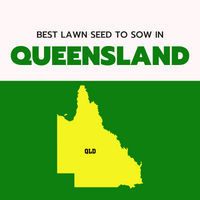 AUTUMN 2022: BEST LAWN SEED FOR QUEENSLAND