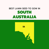 AUTUMN 2022: BEST LAWN SEED FOR SOUTH AUSTRALIA