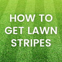 How to get Stripes in your Lawn