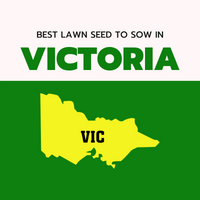 AUTUMN 2022: BEST LAWN SEED FOR VICTORIA