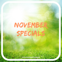 NOVEMBER SPECIALS AT GREAT AUSSIE LAWNS