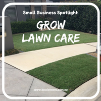 Small Biz Spotlight - GROW Lawn Care