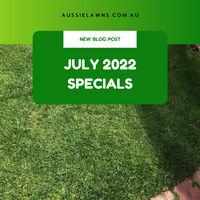 July 2022 Specials - Great Aussie Lawns