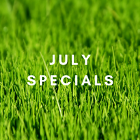 July 2019 Specials