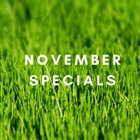 NEW SPECIALS FOR NOVEMBER 2019