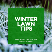 Caring for Your Lawn in the Winter Months