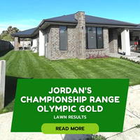 Jordan's Championship Range Olympic Gold Lawn in Victoria