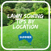 Lawn Sowing Tips by Location - Find your State