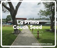 Great Aussie Lawns. La Prima Couch and the Coral Sea Resort, Honiara, Solomon Islands