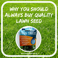 Why you should always buy the best quality lawn seed