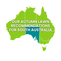 South Australia: Your Autumn Lawn Seed Guide