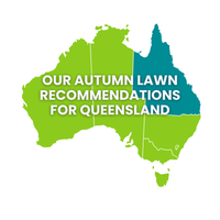 Queensland: Your Autumn Lawn Seed Guide