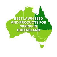 Suggested Seed for Spring in Queensland