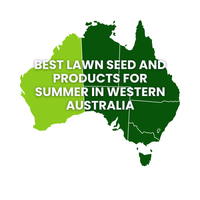 Summer Lawn Tips: Western Australia