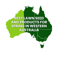 Summer Lawn Tips: Western Australia
