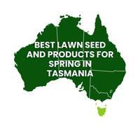 Summer Lawn Tips: Tasmania
