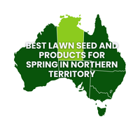 Summer Lawn Tips: Northern Territory
