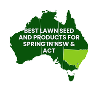 Summer Lawn Tips: NSW and ACT