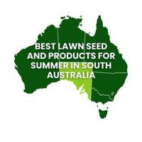 Summer Lawn Tips: South Australia
