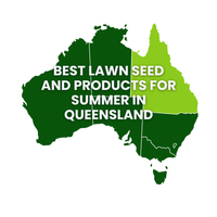 Summer Lawn Tips: Queensland