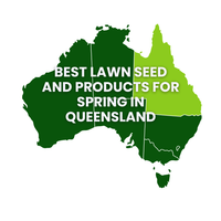 Summer Lawn Tips: Queensland