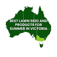 Summer Lawn Tips: Victoria