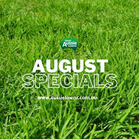 August Specials