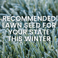 RECOMMENDED LAWN SEED FOR YOUR STATE THIS WINTER