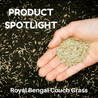 PRODUCT SPOTLIGHT: Royal Bengal Couch Lawn Seed