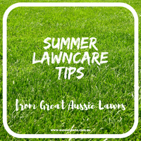 Summer Lawncare Tips from Great Aussie Lawns