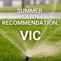 Summer Lawn Tips: Victoria