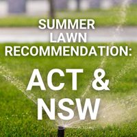 Summer Lawn Tips: NSW and ACT